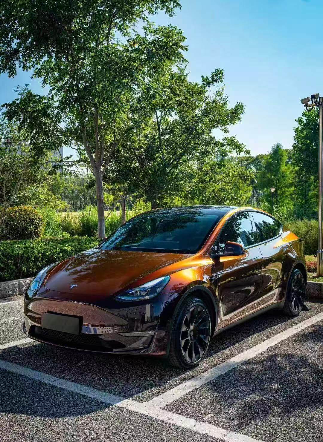 What Does It Cost to Wrap a Car? Complete 2025 Price Guide