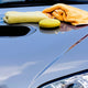 Specialty Finish Warranty and Maintenance