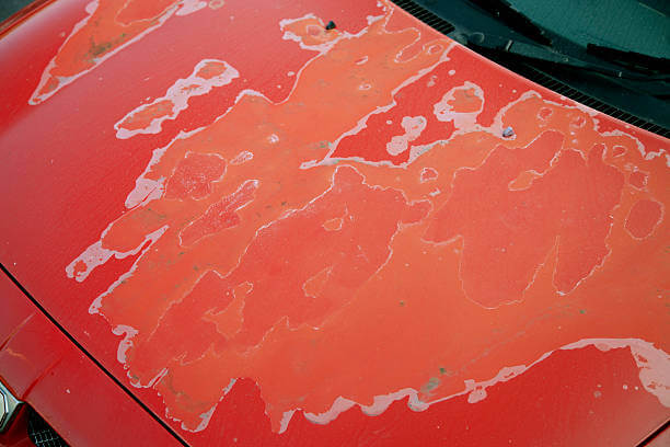 Damages Original Paint
